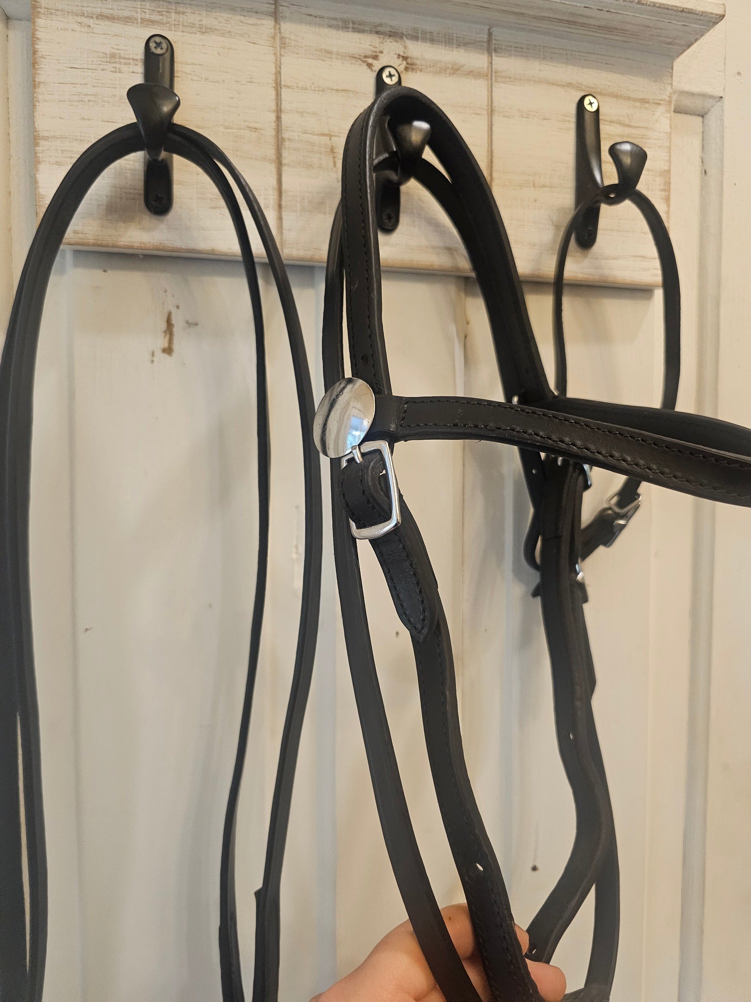 Western Headstalls and Bridles