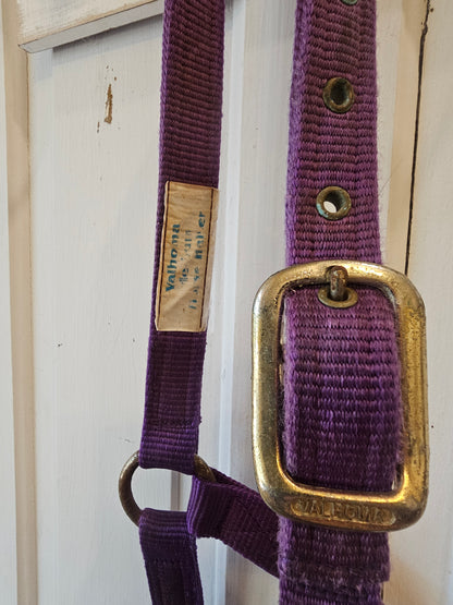 Valhoma Horse Halter purple