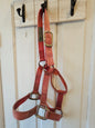 Yearling halter used