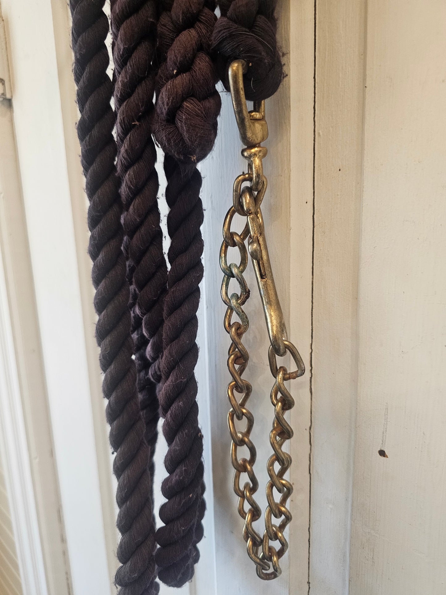 9' black cotton lead rope with chain end