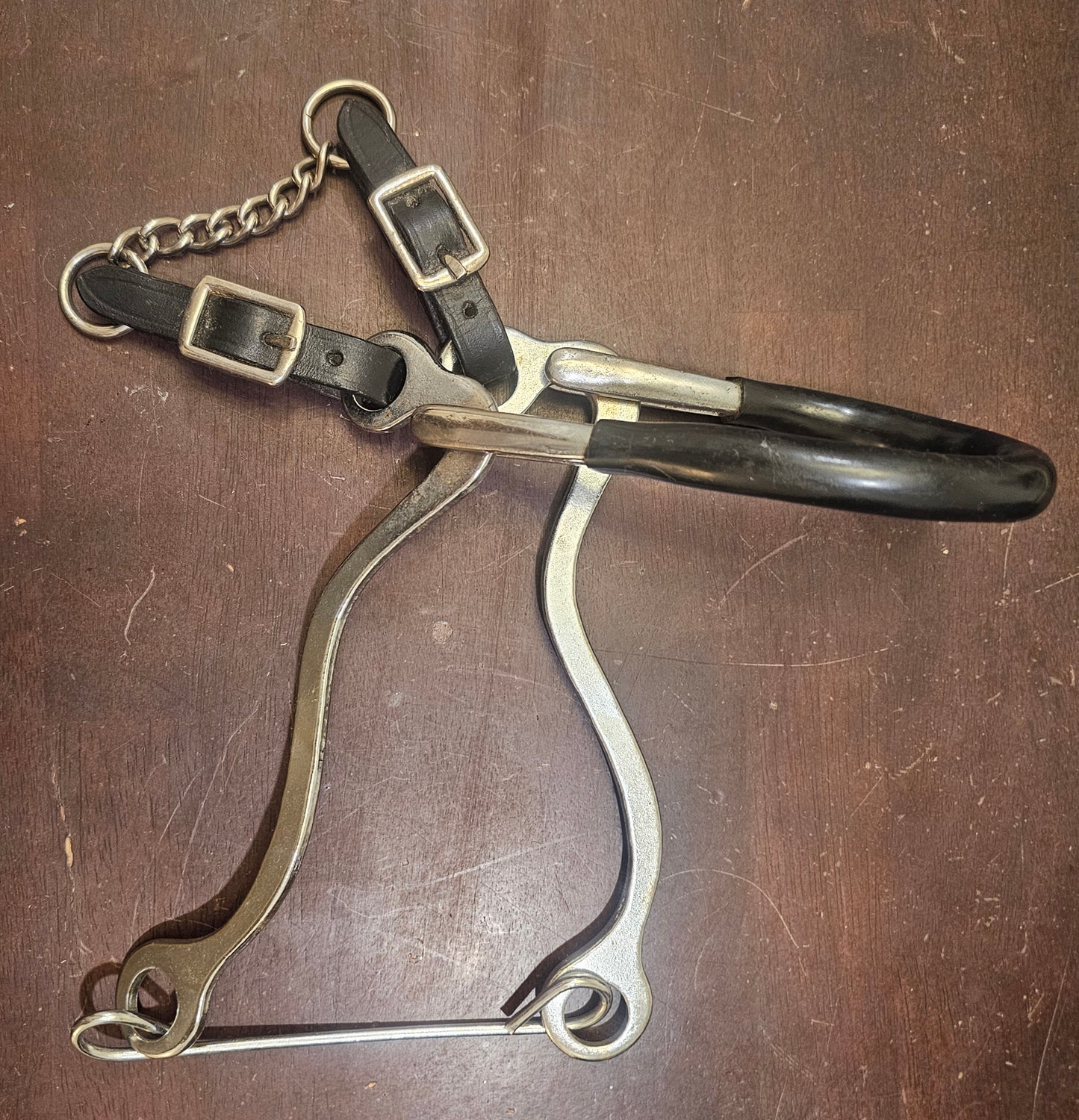 Hackamore bitless bridle