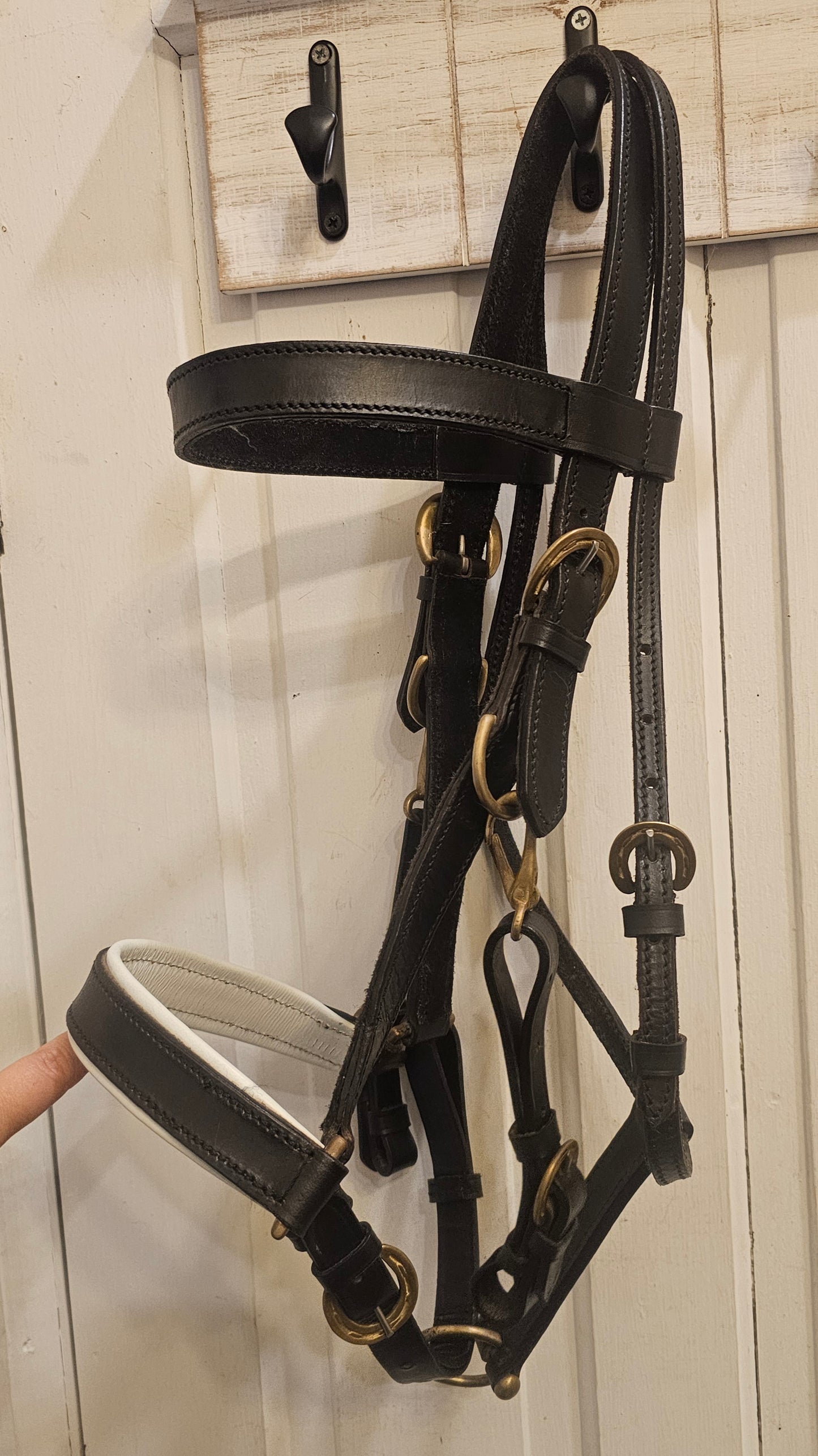 New Trail Halter Bridle, brass hardware, padded nose band