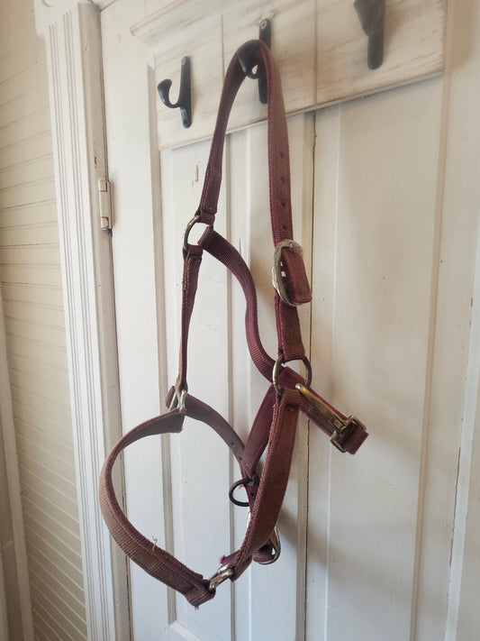 Nylon horse halter used