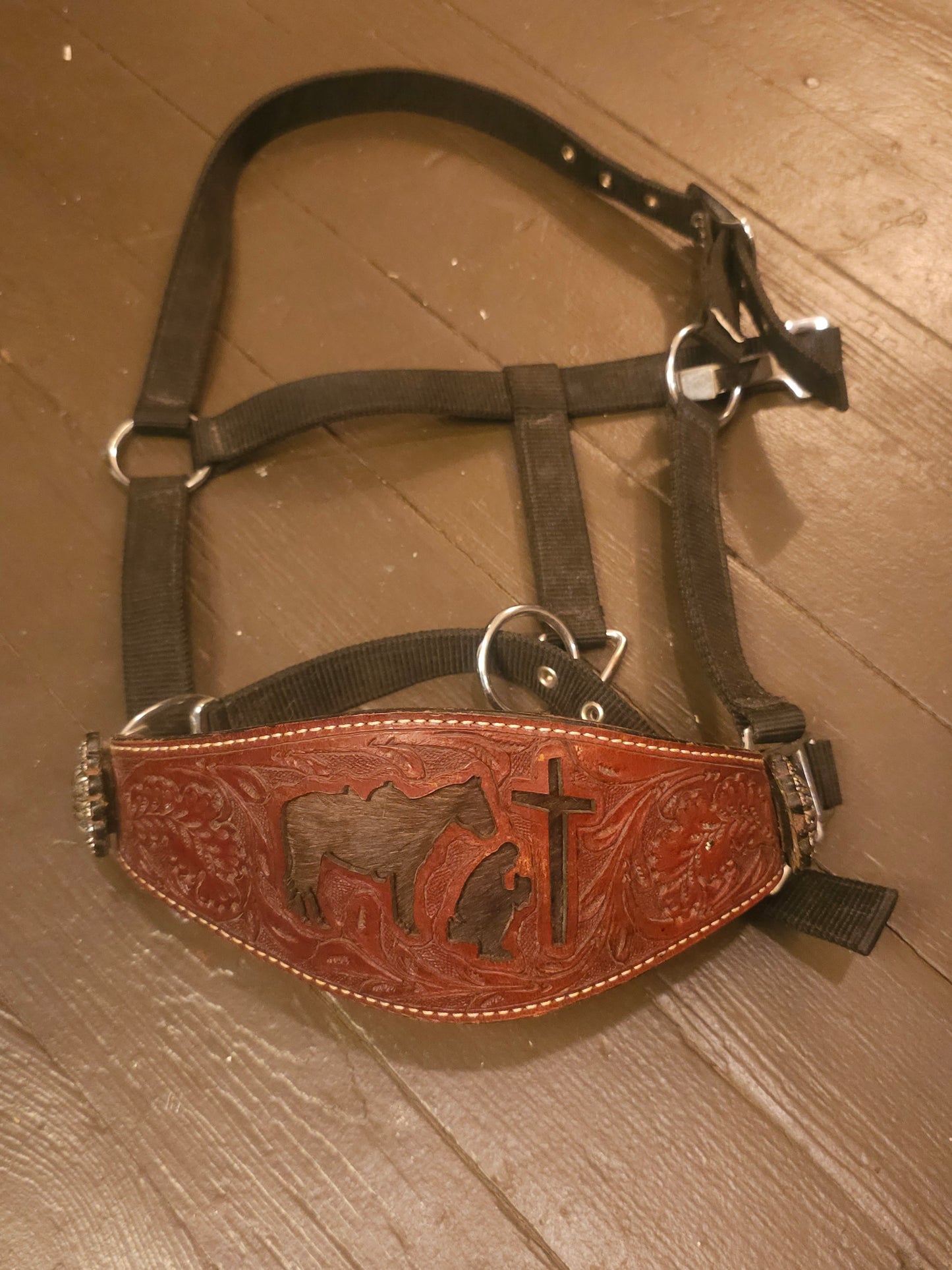 Bronc Horse Halter Hide On