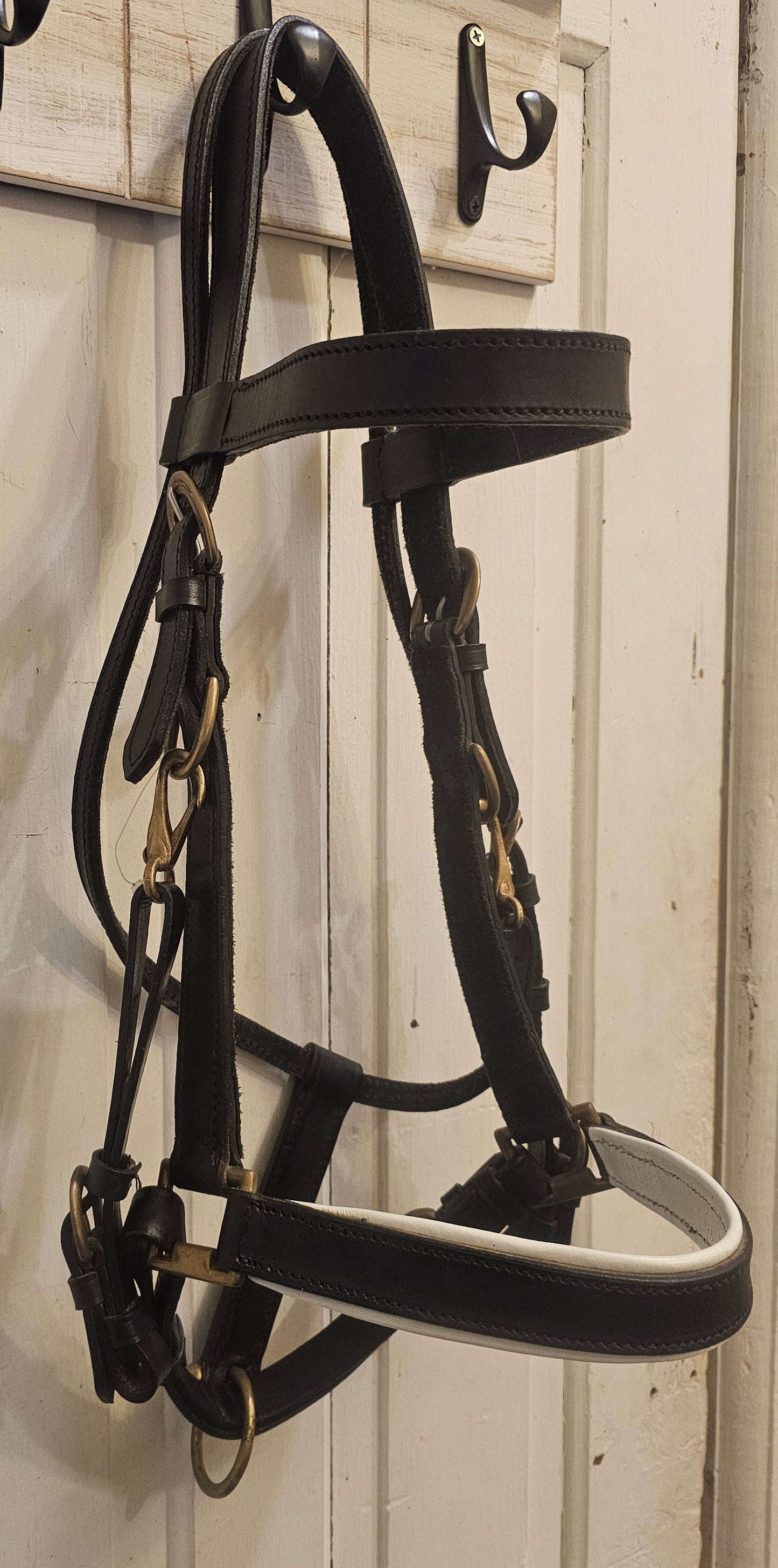 New Trail Halter Bridle, brass hardware, padded nose band