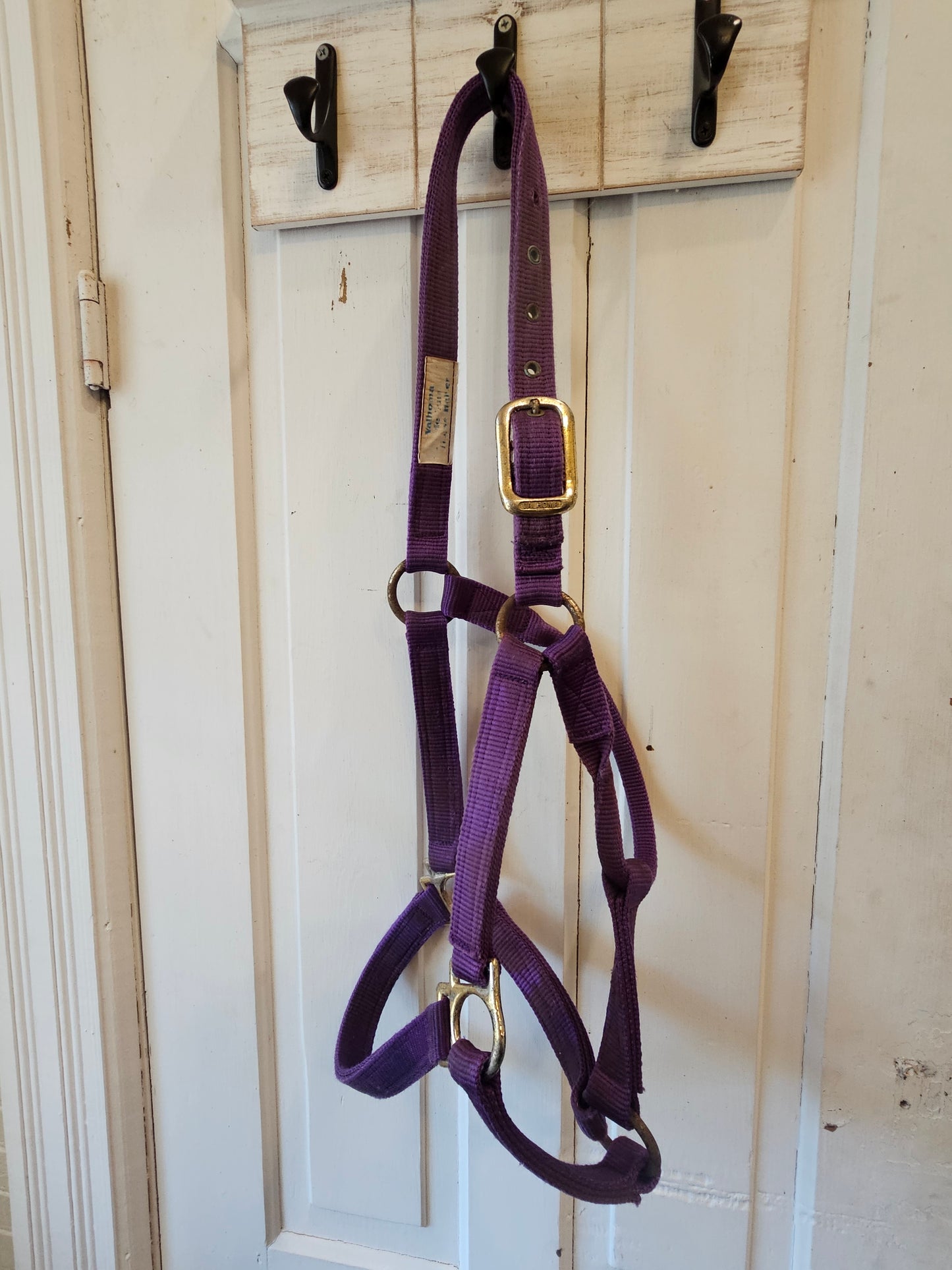 Valhoma Horse Halter purple