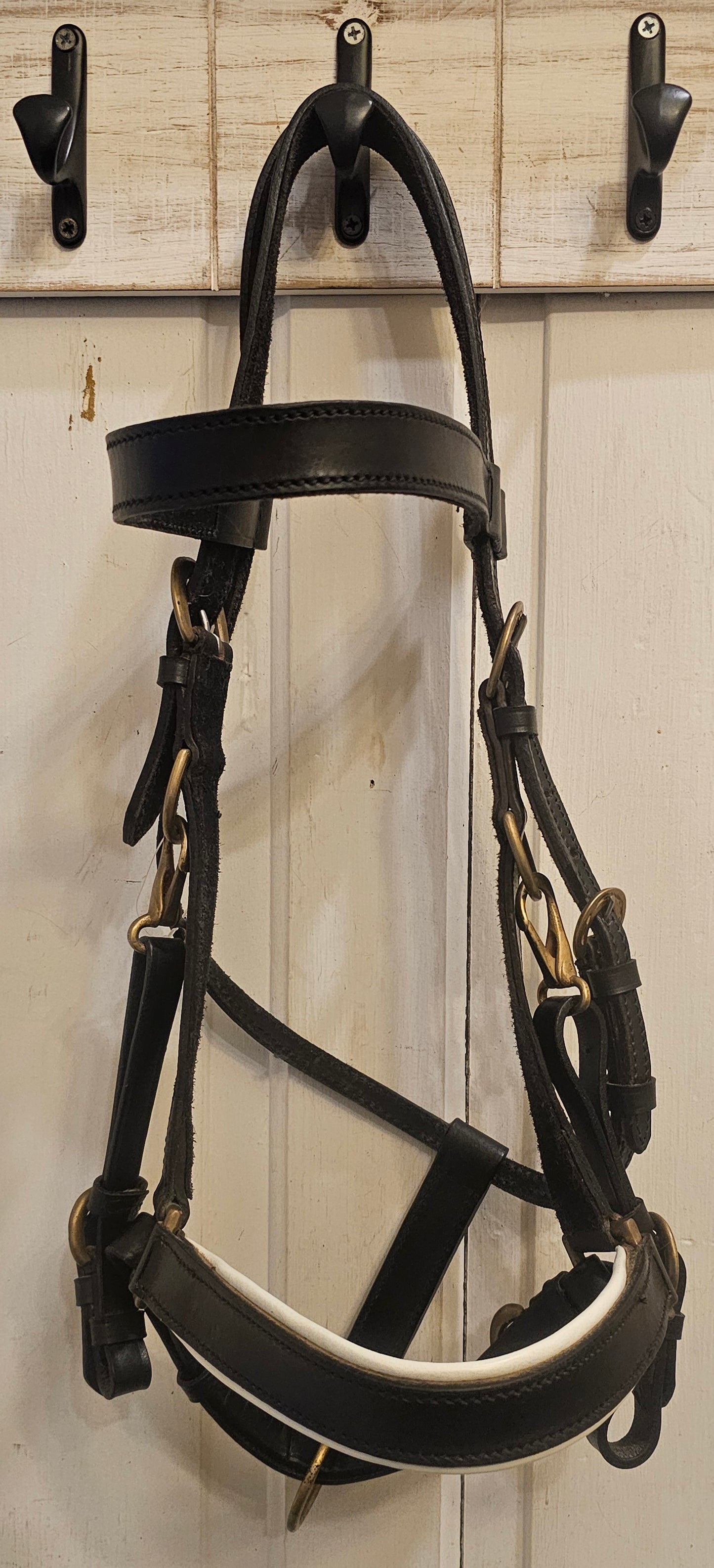 New Trail Halter Bridle, brass hardware, padded nose band