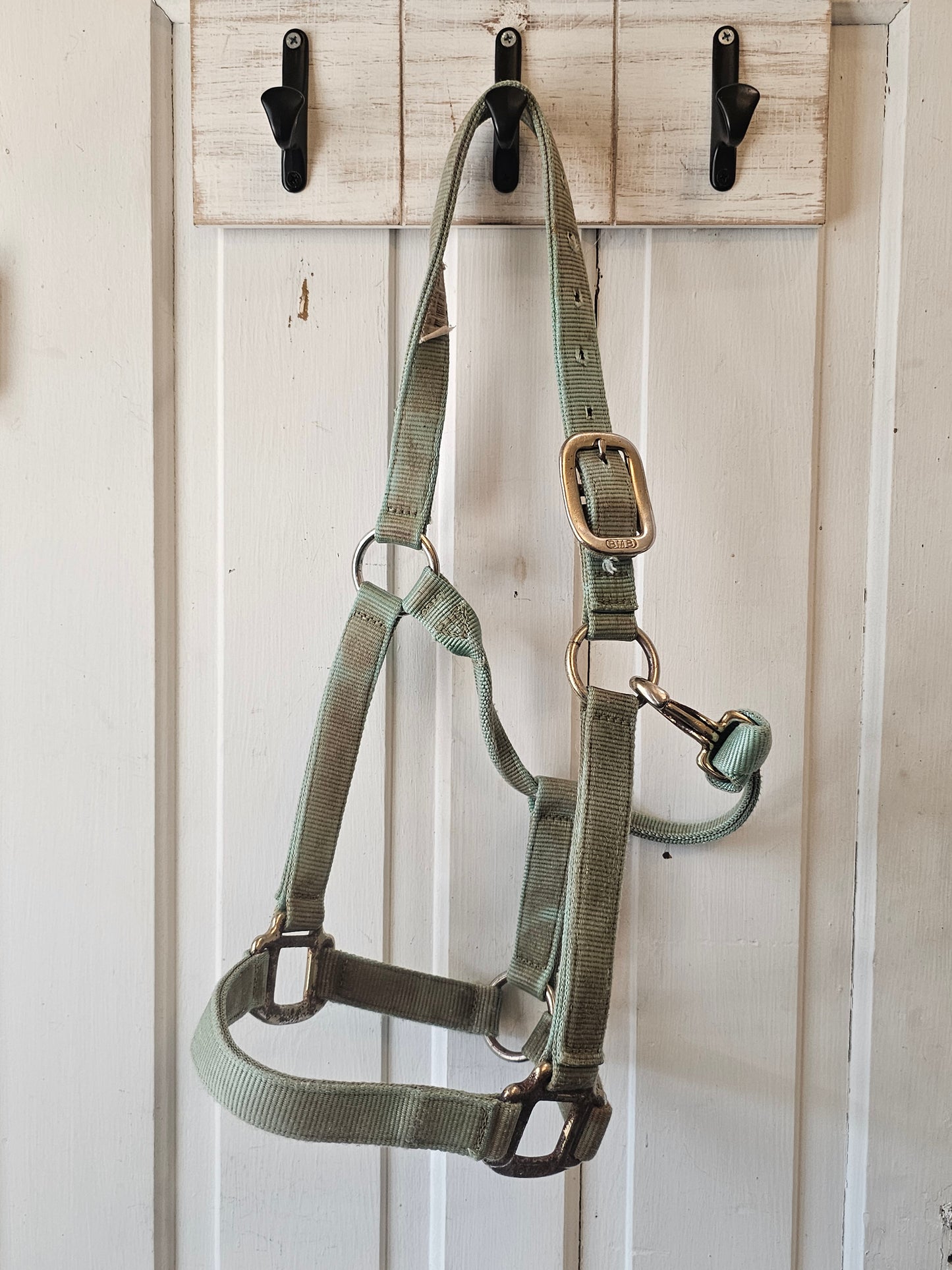 BMB Horse Halter sage green