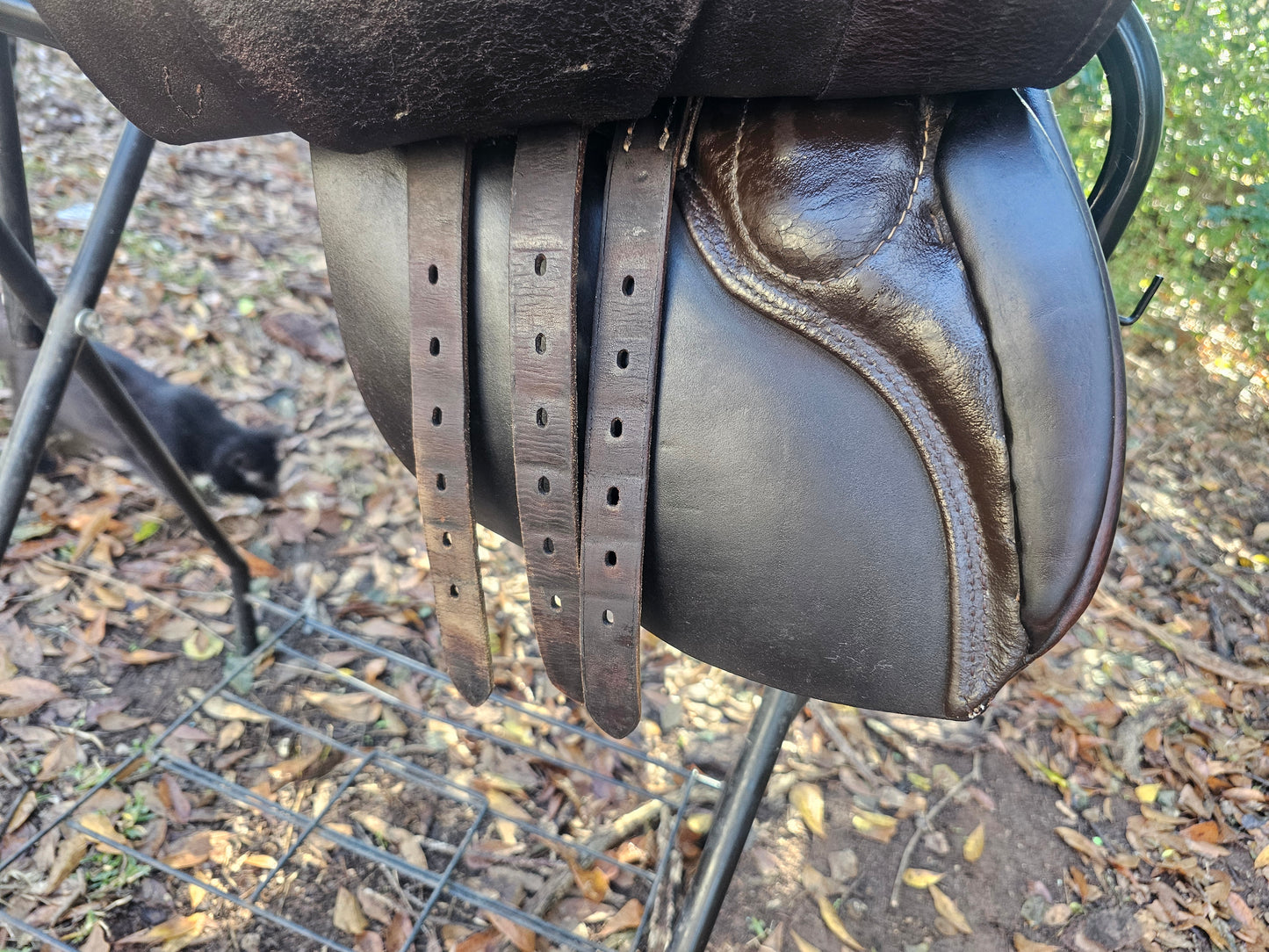 17" Stübben Used English AP Saddle