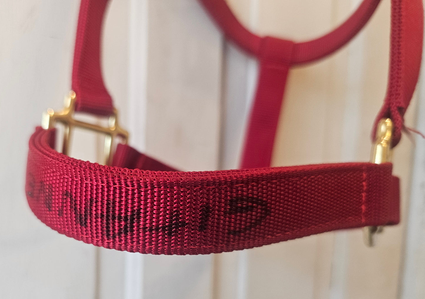 Red Yearling Halter