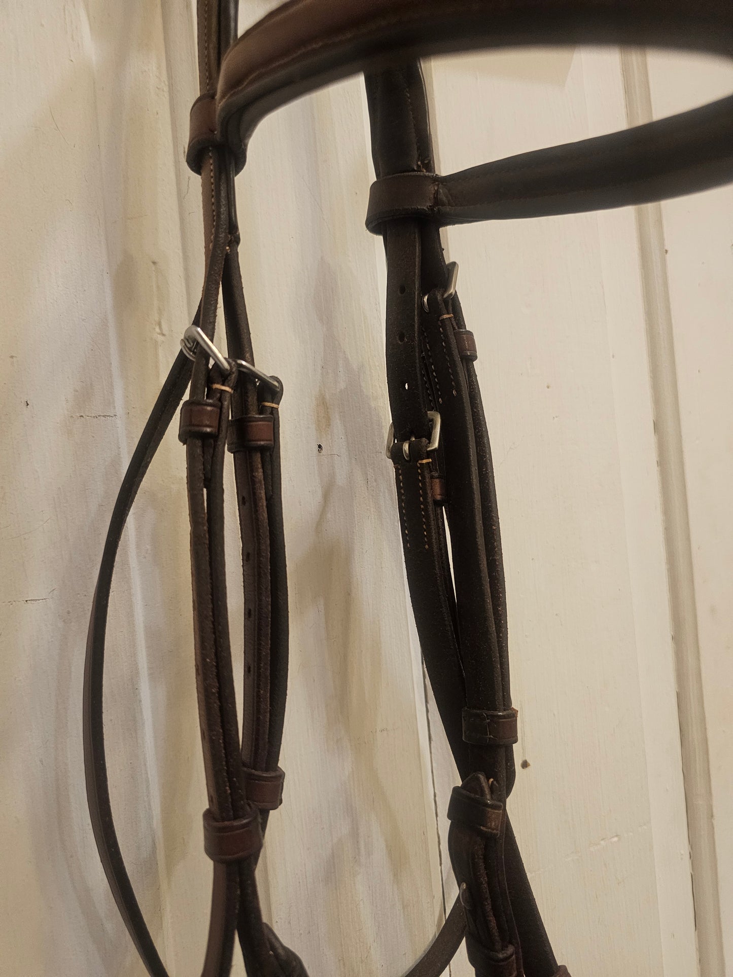 Vespucci Fancy Stitched Raised Hunter Bridle