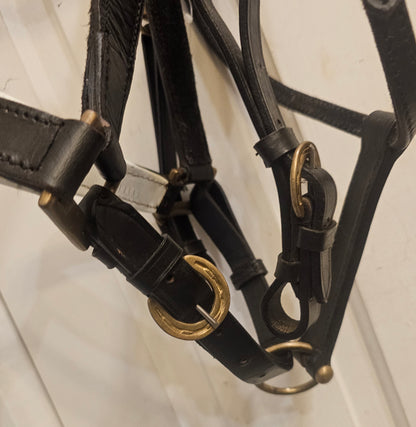 New Trail Halter Bridle, brass hardware, padded nose band