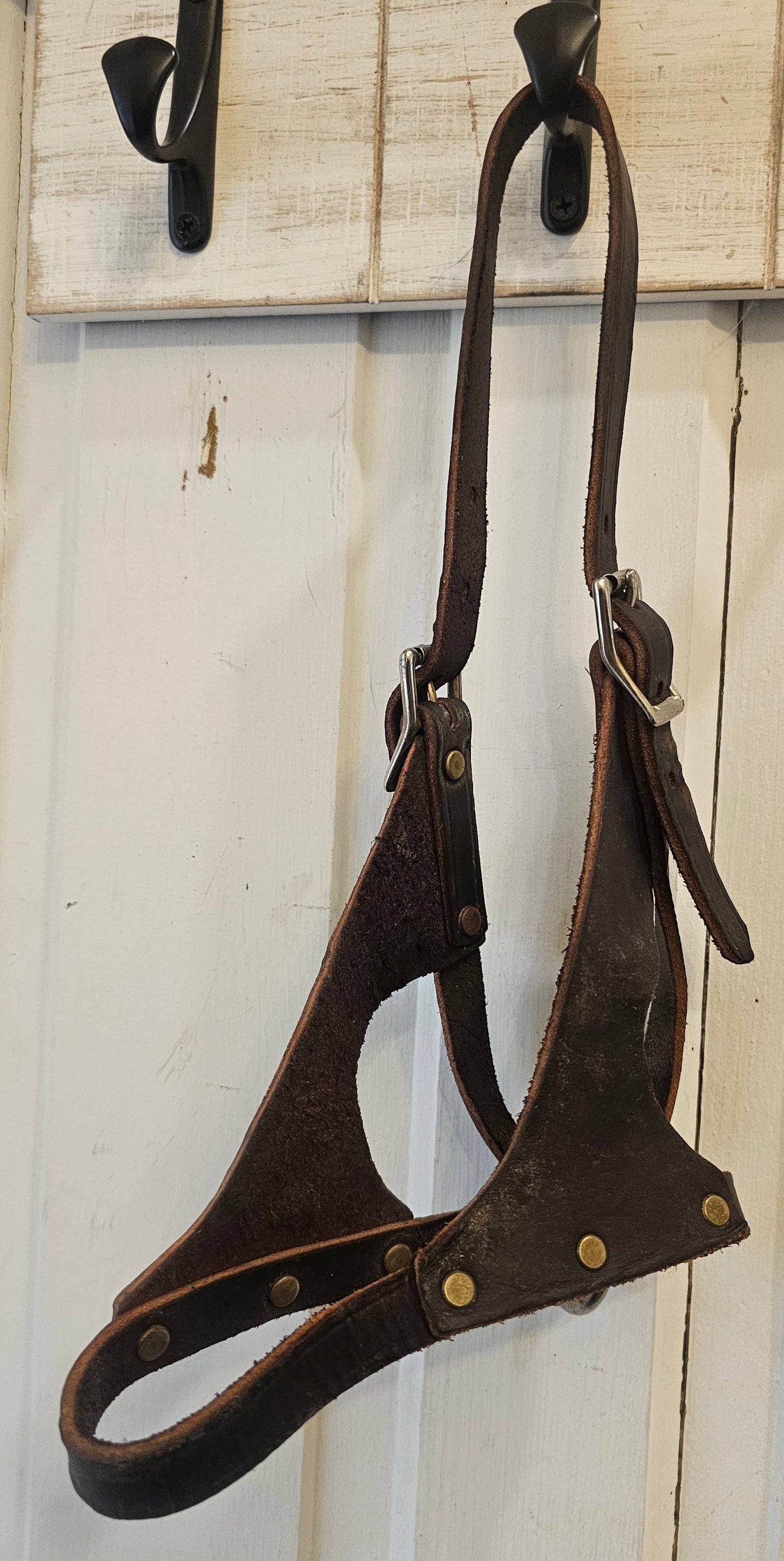 Figure 8 Foal Halter Leather