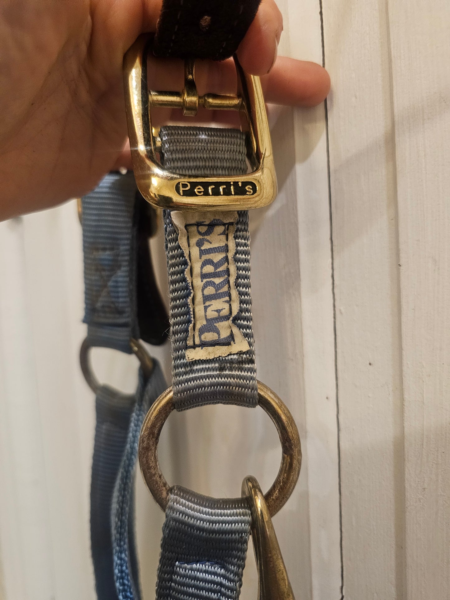 Used Perri's Hybrid Halter