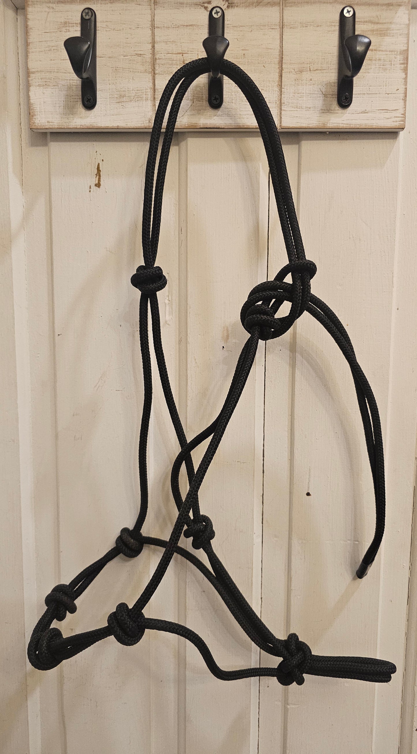 Stiff black rope halter, 4 Knoten noseband, large