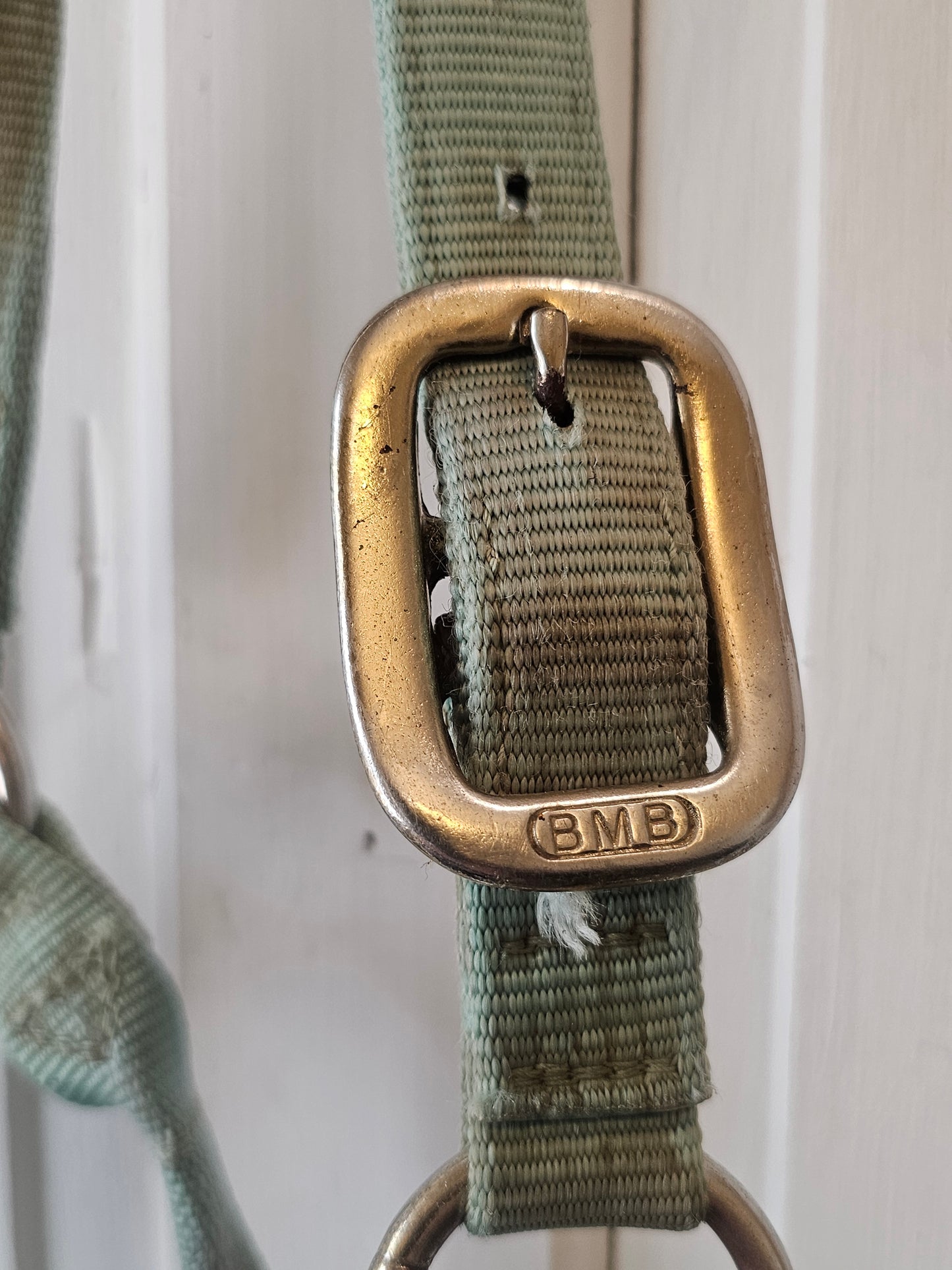 BMB Horse Halter sage green