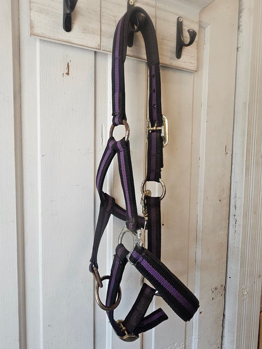 Small Horse Halter purple black