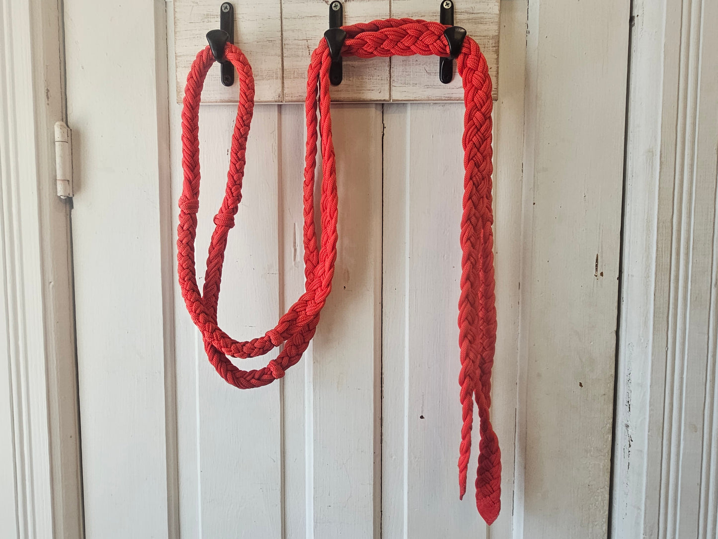 Red braided nylon loop rein, clips missing