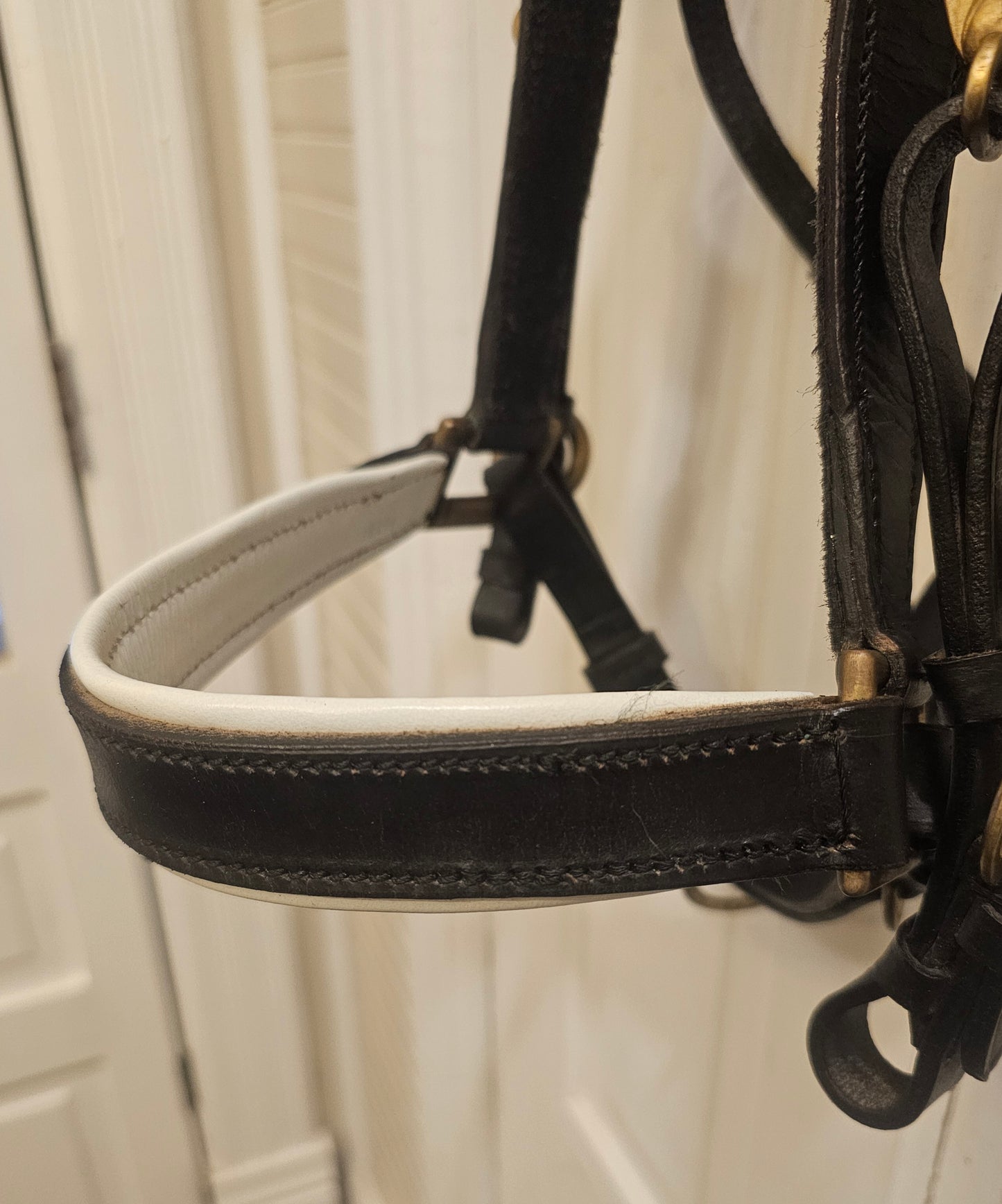 New Trail Halter Bridle, brass hardware, padded nose band