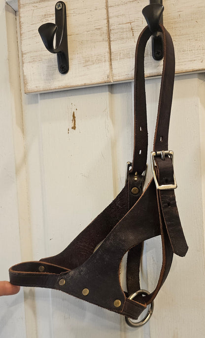 Figure 8 Foal Halter Leather